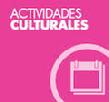 SINGLES BARCEONA grupos de actividades culturales